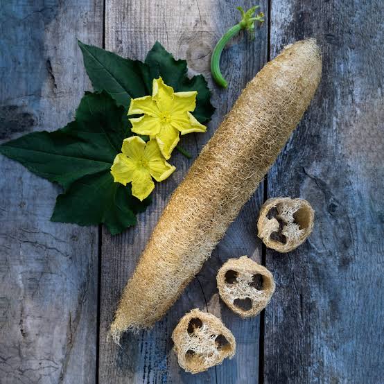 Luffana Natural Sponges